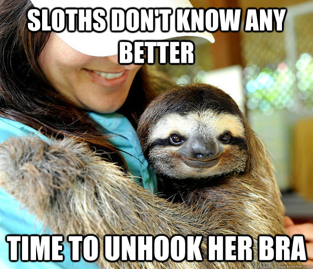 SLoths don't know any better time to unhook her bra  