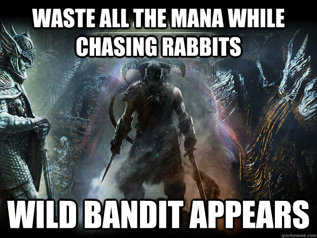 waste all the mana while chasing rabbits wild bandit appears  Scumbag Skyrim