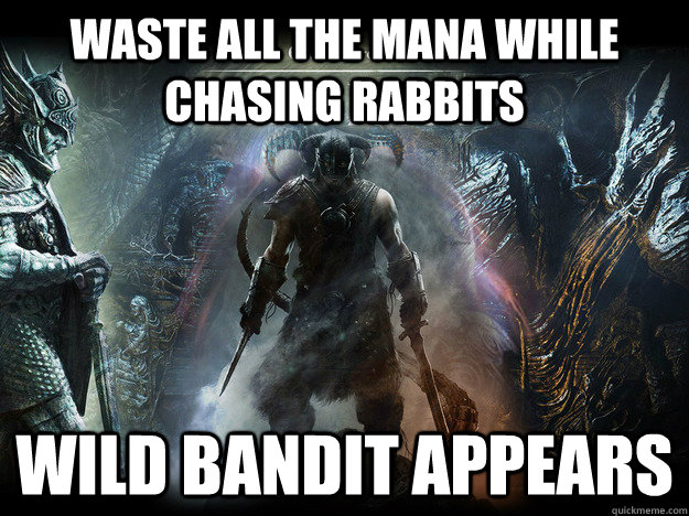 waste all the mana while chasing rabbits wild bandit appears  Scumbag Skyrim