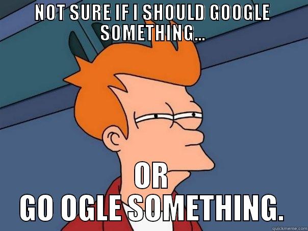NOT SURE IF I SHOULD GOOGLE SOMETHING... OR GO OGLE SOMETHING. Futurama Fry