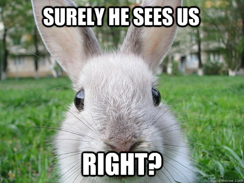 Surely he sees us right?  Rabbit webcam