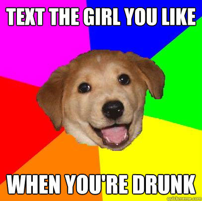 Text the girl you like  When you're drunk - Text the girl you like  When you're drunk  Advice Dog