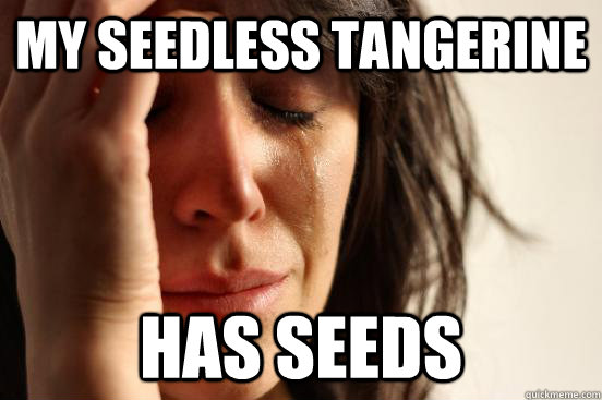 my seedless tangerine has seeds  First World Problems
