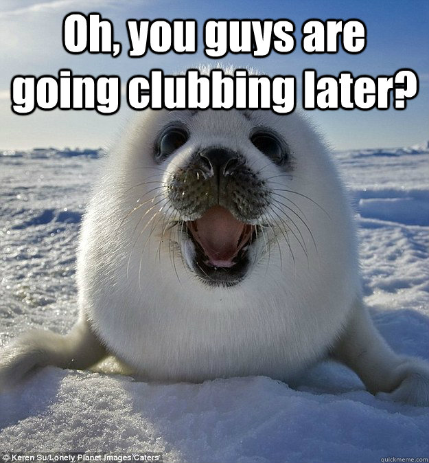 Oh, you guys are going clubbing later?   Easily Pleased Seal