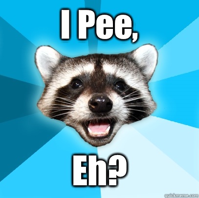 I Pee, Eh?  Lame Pun Coon