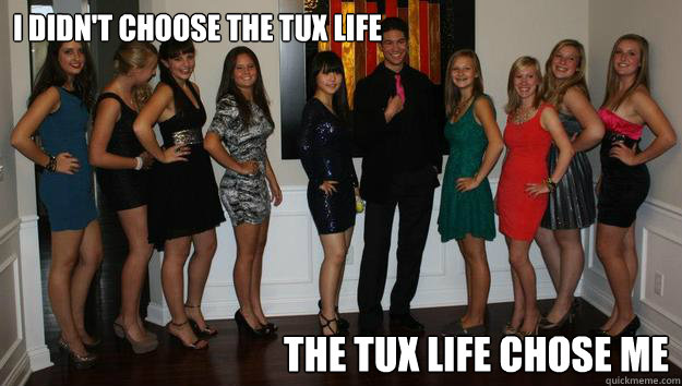 I didn't choose the tux life The tux life chose me - I didn't choose the tux life The tux life chose me  tux life