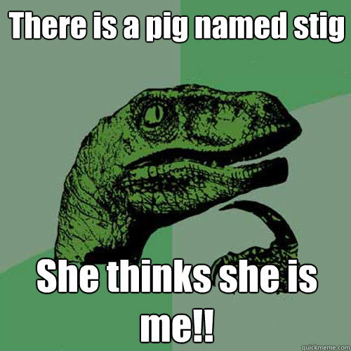 There is a pig named stig She thinks she is me!!  Philosoraptor