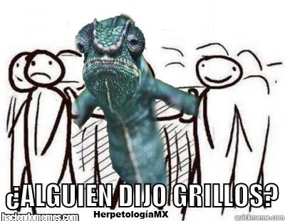    ¿ALGUIEN DIJO GRILLOS? Misc