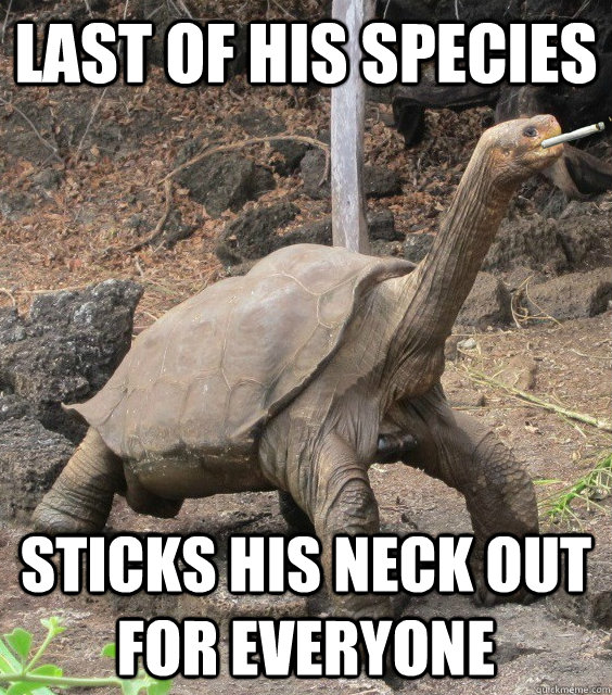 Last of his species Sticks his neck out for everyone  Good Guy George