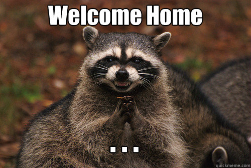 Welcome Home . . .  Insidious Racoon 2