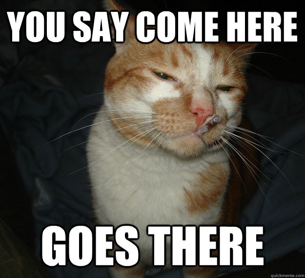 you say come here goes there  Cool Cat Craig
