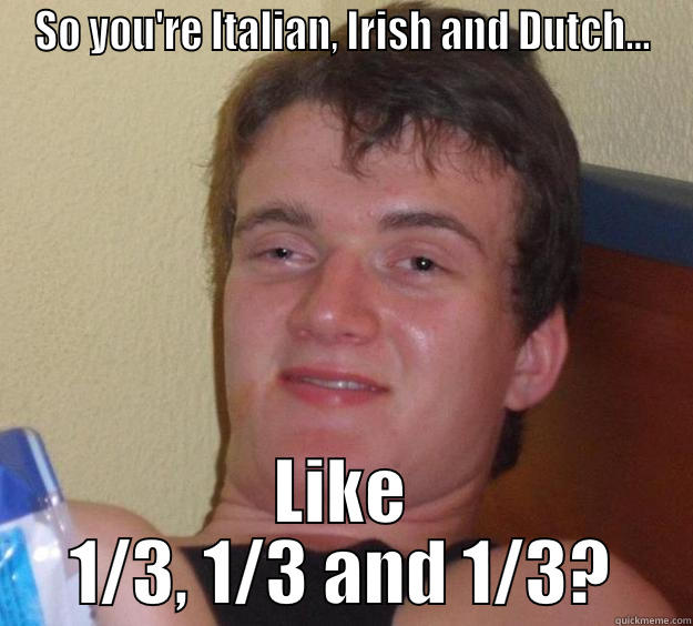 SO YOU'RE ITALIAN, IRISH AND DUTCH... LIKE 1/3, 1/3 AND 1/3? 10 Guy