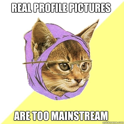 Real profile Pictures Are too mainstream  Hipster Kitty