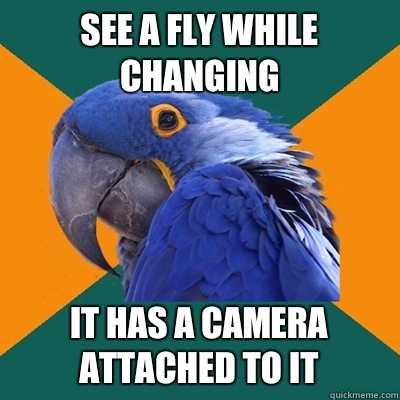 See a fly while changing It has a camera attached to it  Paranoid Parrot