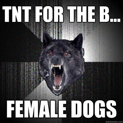 TNT For the b... FEMALE DOGS  Insanity Wolf