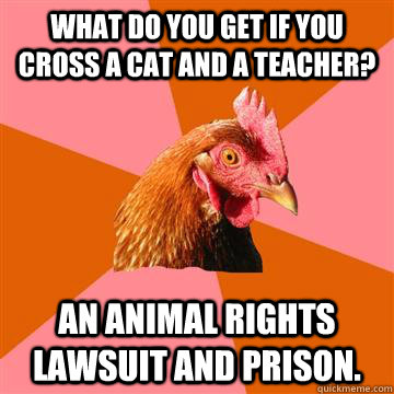 What do you get if you cross a cat and a teacher? An animal rights lawsuit and prison.  Anti-Joke Chicken