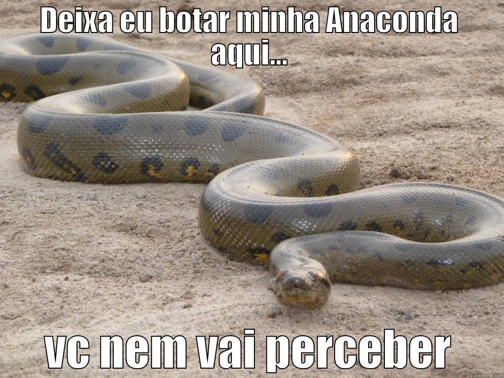 DEIXA EU BOTAR MINHA ANACONDA AQUI... VC NEM VAI PERCEBER Misc
