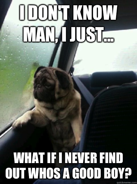 I don't know man, I just... What if I never find out whos a good boy?  Introspective Pug