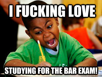 i fucking love  studying for the bar exam!  