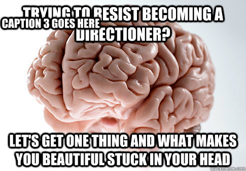 Trying to resist becoming a Directioner? Let's get One Thing and What Makes you Beautiful stuck in your head Caption 3 goes here  Scumbag Brain