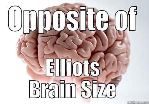 OPPOSITE OF ELLIOTS BRAIN SIZE Scumbag Brain