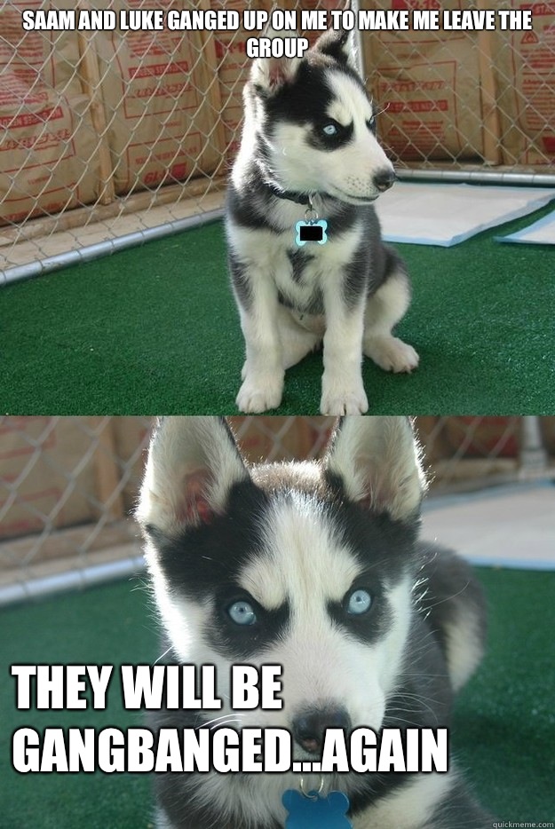 Saam and Luke ganged up on me to make me leave the group They will be gangbanged...Again  Insanity puppy