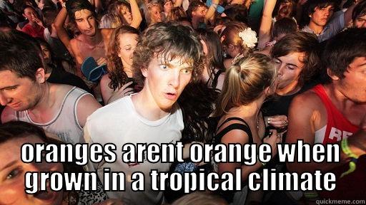  ORANGES ARENT ORANGE WHEN GROWN IN A TROPICAL CLIMATE Sudden Clarity Clarence
