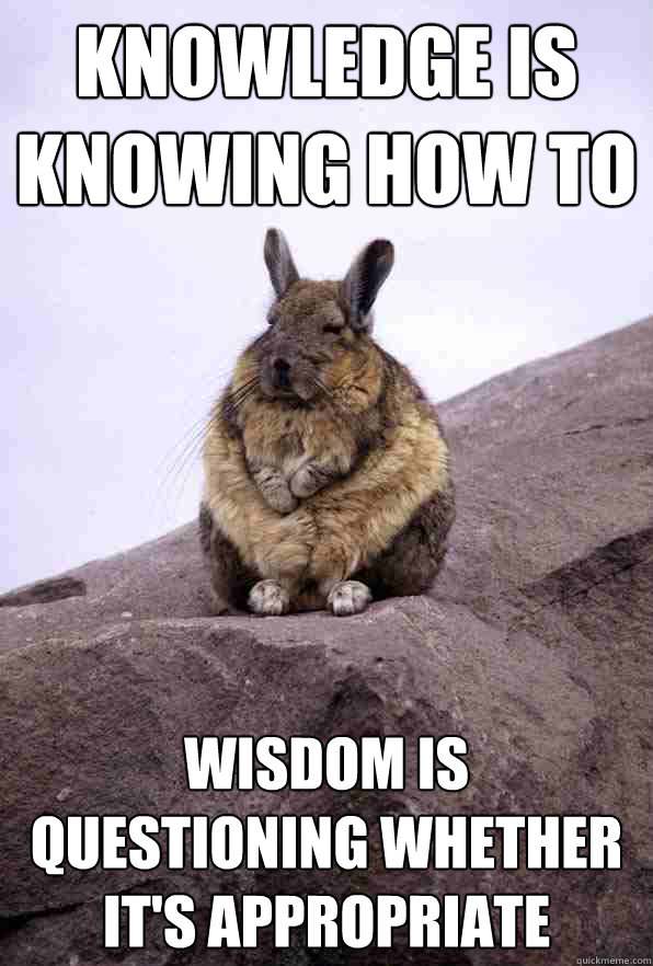 Knowledge is knowing how to wisdom is questioning whether it's appropriate  Wise Wondering Viscacha