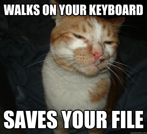 walks on your keyboard Saves your file  Cool Cat Craig