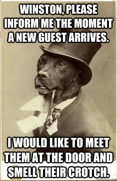 winston, please inform me the moment a new guest arrives. i would like to meet them at the door and smell their crotch.  Old Money Dog