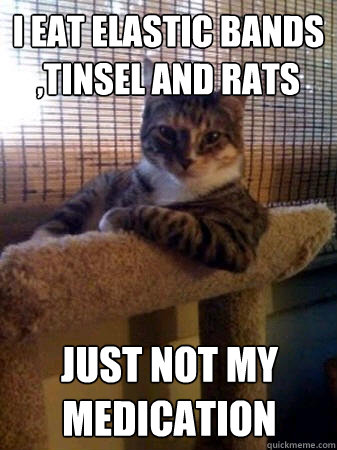 i eat elastic bands ,tinsel and rats just not my medication  The Most Interesting Cat in the World