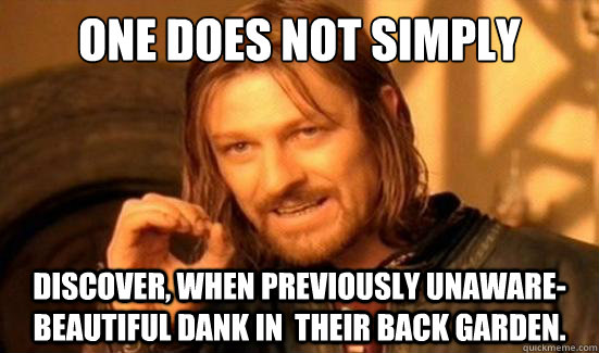 One Does Not Simply Discover, when previously unaware-beautiful dank in  their back garden.  Boromir