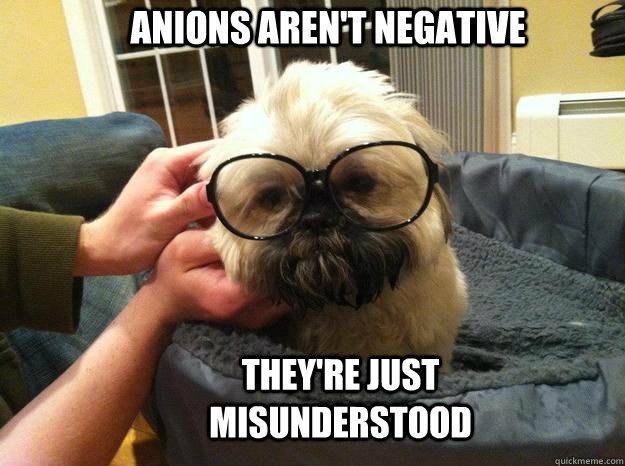 Anions aren't Negative They're just misunderstood  Chemistry shih tzu