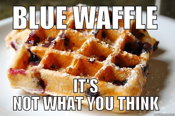 BLUE WAFFLE IT'S NOT WHAT YOU THINK Misc