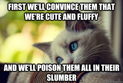 First we'll convince them that we're cute and fluffy and we'll poison them all in their slumber - First we'll convince them that we're cute and fluffy and we'll poison them all in their slumber  First World Cat Problems