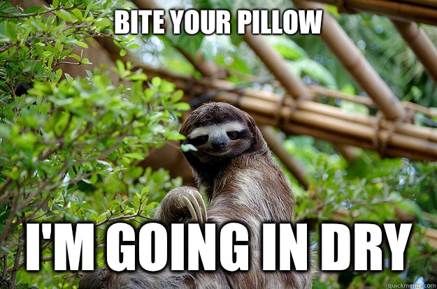 Bite your pillow
 I'm going in dry - Bite your pillow
 I'm going in dry  Seductive Sloth