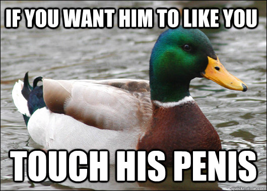 If you want him to like you touch his penis  Actual Advice Mallard