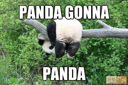 Panda gonna Panda  
