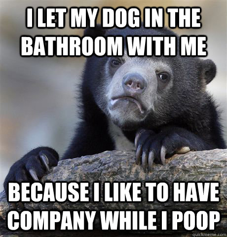 I let my dog in the bathroom with me because i like to have company while I poop  Confession Bear