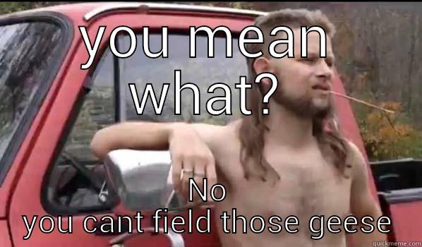 YOU MEAN WHAT? NO YOU CANT FIELD THOSE GEESE Almost Politically Correct Redneck