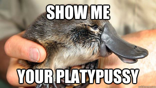 show me your platypussy - show me your platypussy  pick-up artist platypus