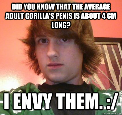 Did you know that the average adult gorilla's penis is about 4 cm long? I envy them. :/  