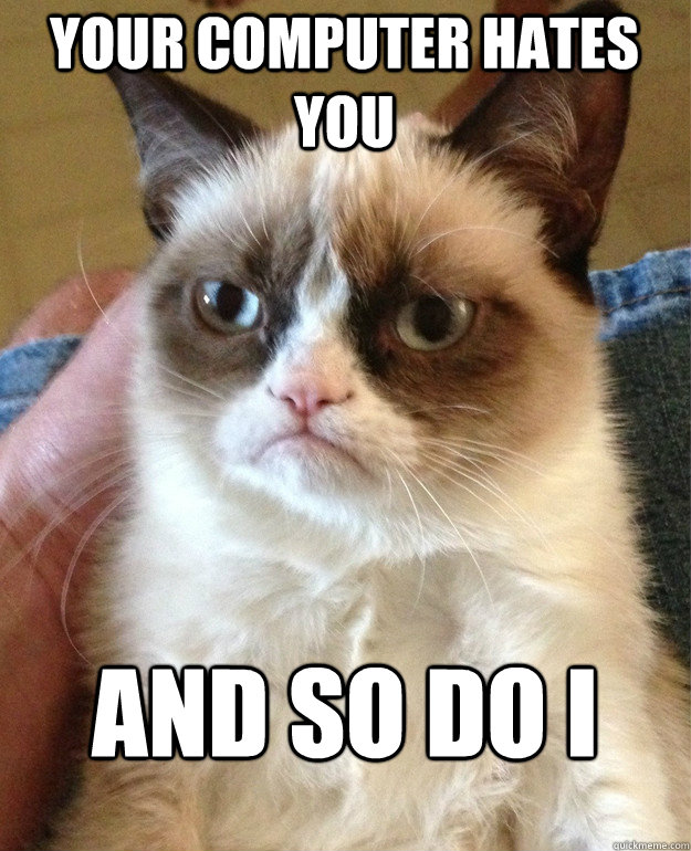 Your computer hates you And so do I  Grumpy Cat