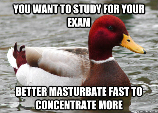 you want to study for your exam better masturbate fast to concentrate more  Malicious Advice Mallard
