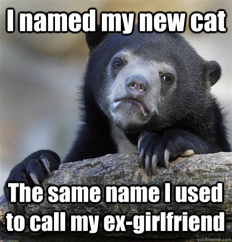 I named my new cat The same name I used to call my ex-girlfriend  Confession Bear