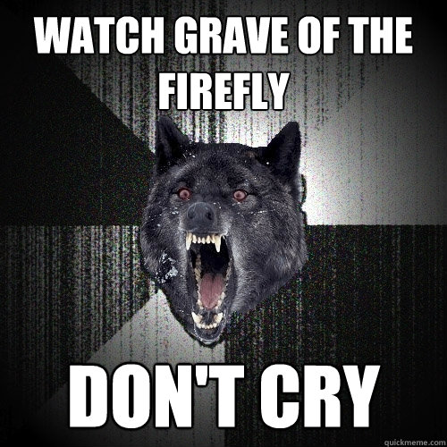 watch grave of the firefly don't cry  Insanity Wolf