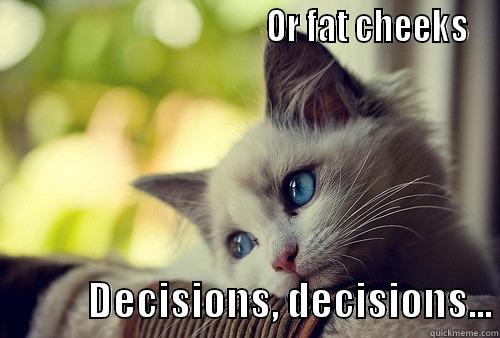                                       OR FAT CHEEKS             DECISIONS, DECISIONS... First World Problems Cat