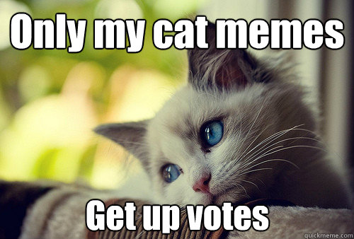 Only my cat memes Get up votes  First World Cat Problems
