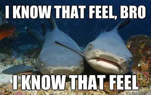 I know that feel, bro i know that feel  Compassionate Shark Friend