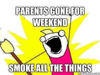 Parents gone for weekend Smoke all the things  All The Things